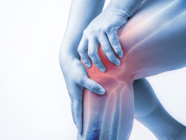 knee tests your orthopedic surgeon may perform