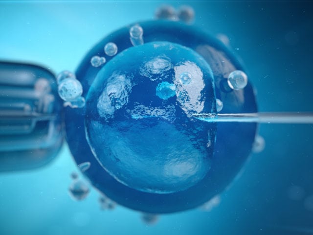 prp vs stem cell