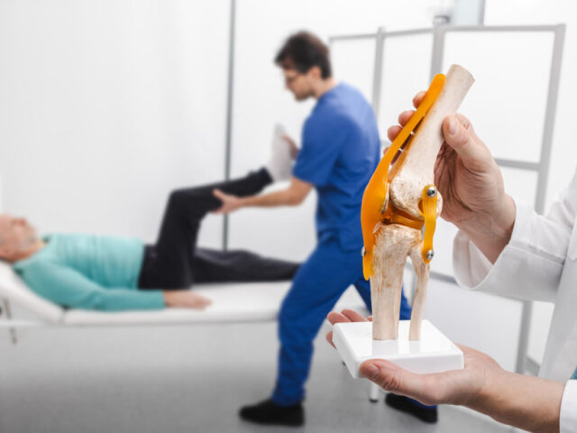 An orthopedic provider holding anatomical human knee-joint model in hands.